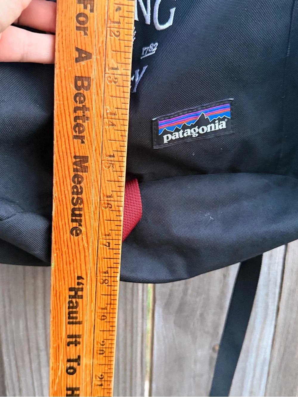 Patagonia rugged backpack